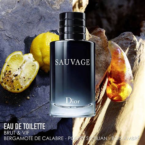 sauvage dior homme 100 ml